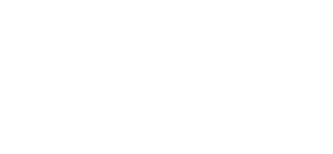 Skyline Flight
